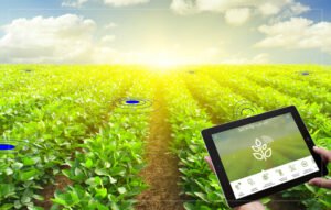How Is Data-Driven Farming Transforming the Industry