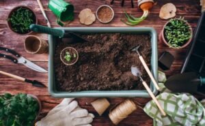 Composting 101: Everything You Need to Know to Start Composting at Home
