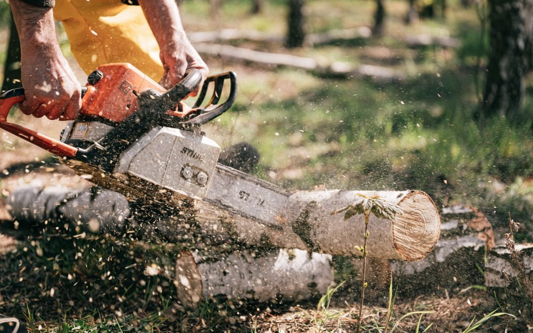 Pole Saw Cutting Techniques