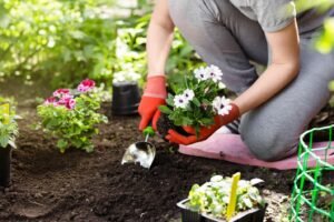 When Is the Best Time to Start a Garden?: A Beginner Gardener’s Guide