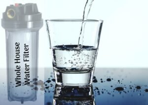 Is It Worth It to Install a Whole House Water Filter System?
