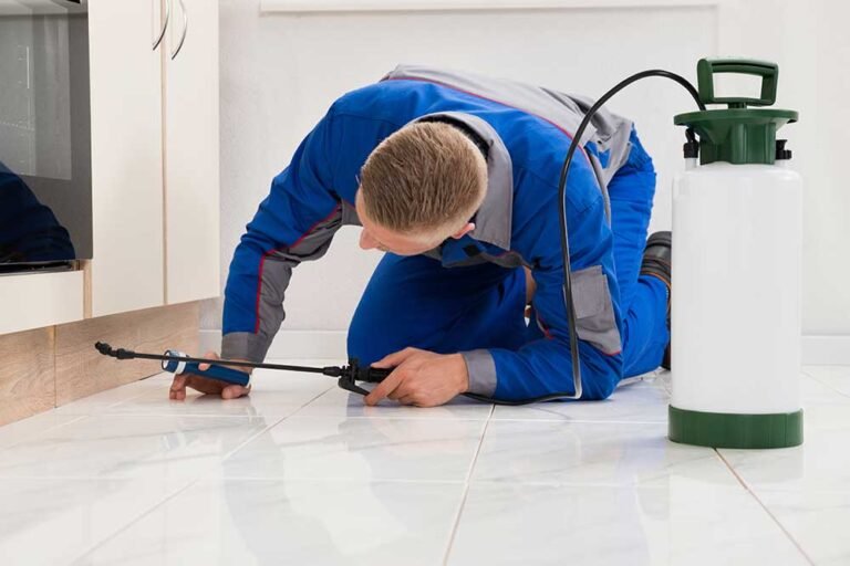 Your Guide To Hiring An Exterminator