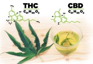 What to Look for When Buying Hemp and CBD Products