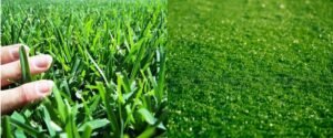 How Artificial Grass Is Superior to Natural Grass