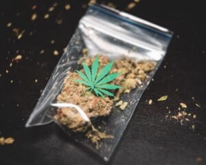 How Apps Have Enhanced the Cannabis Experience