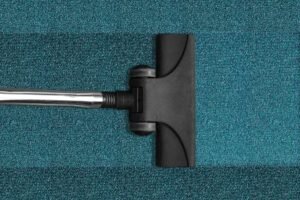 What Might Be Lurking In Your Carpet
