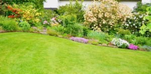 5 Landscaping Tips You Should Keep in Mind