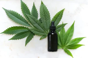 <strong>CBD Oil Vs. CBD Water – Which One is Right for You?</strong>