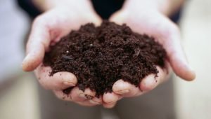 <strong>Creating Sustainable Soil – Tips for Long-Term Soil Health</strong>