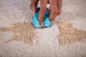 Understanding Different Types of Carpet Stains and How to Remove Them