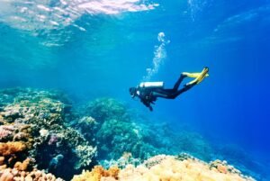 Snorkeling vs. Scuba Diving – Discovering the Underwater Realm in Unique Ways!