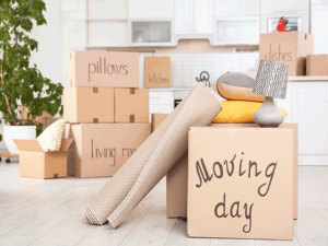 Top Tips for Professional Movers: Make Your Move Stress-Free with Charlotte Moving Companies