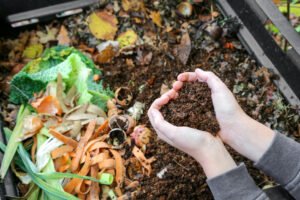 <strong>What To Consider When Choosing A Compost Bin</strong>