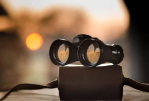 Choosing The Right Private Investigator: What To Look For?