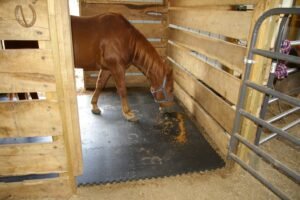 Ensuring Safety And Hygiene How to Properly Install And Maintain Stable Mats