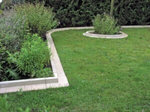 Lawn Edging: Professional Tips and Tricks