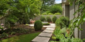 How to Look After a Bigger Garden Properly