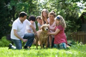 Getting a Family Pet: Key Steps to Help You Prepare Properly