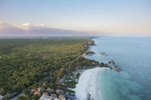 Experience Tulum Tours: Your Gateway to Ancient Wonders and Natural Bliss