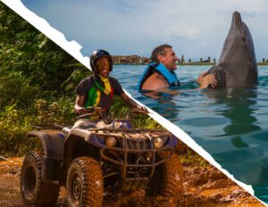 Dive into Paradise: Your Ultimate Guide to Dolphin Cove in Jamaica