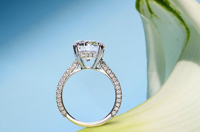 Hidden Halo Lab Grown Diamond Engagement Rings – With Clarity