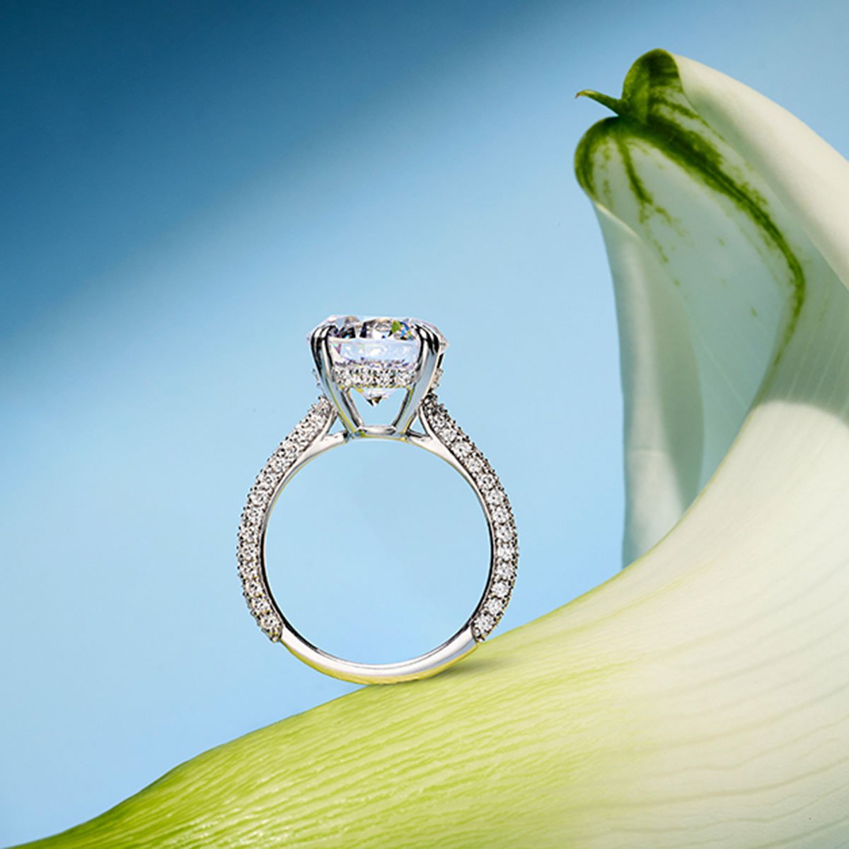 Hidden Halo Lab Grown Diamond Engagement Rings – With Clarity